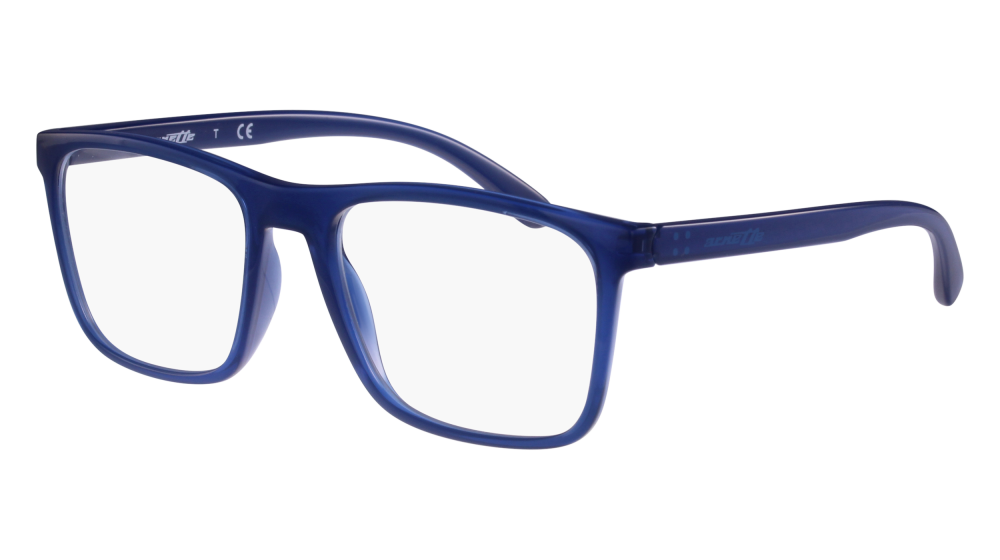 ARNETTE 7132 2496 54