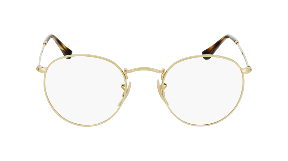 RAY-BAN 3447V 2500 47