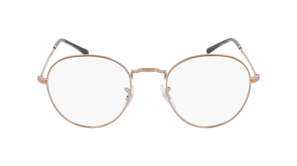 RAY-BAN 3582V 2943 49