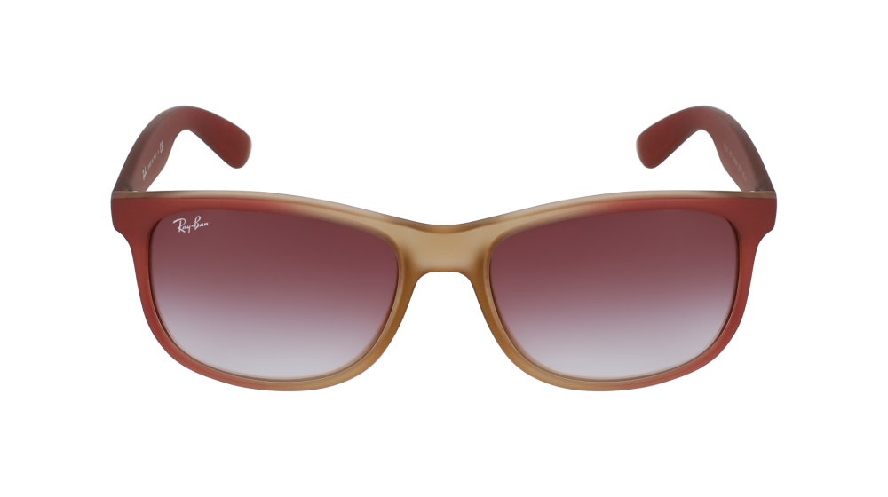 RAY-BAN 4202 63698H 55