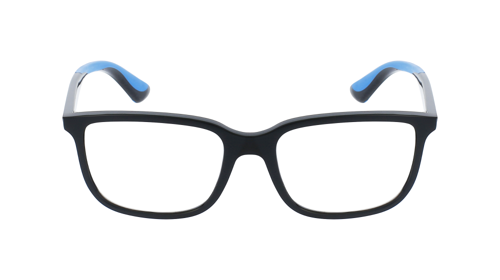 RAY-BAN 1605 3862 49 RAY-BAN 1605 3862 49